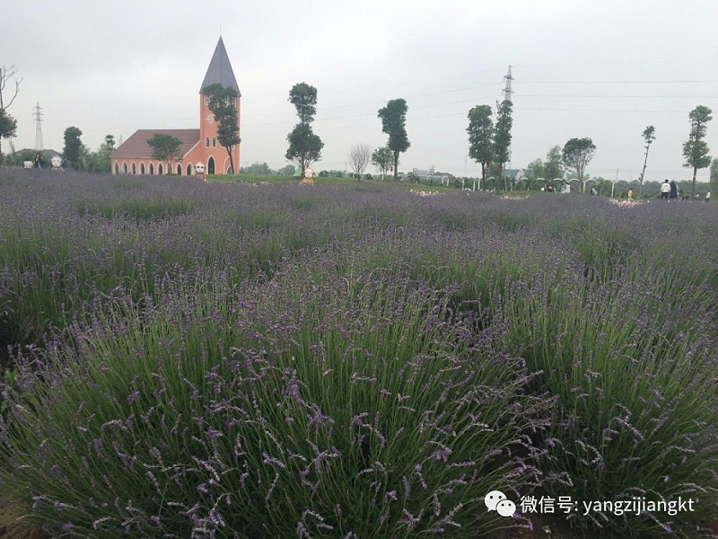 揚子江空調(diào)新風系統(tǒng)